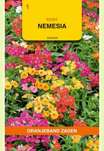 OBZ Nemesia Carnival gemengd - afbeelding 1