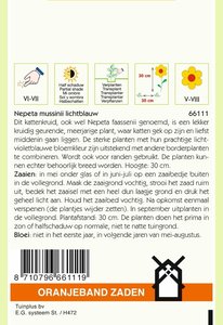 OBZ Nepeta, Kattenkruid - afbeelding 2