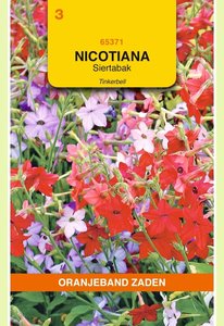 OBZ Nicotiana, Siertabak Tinkerbell gemengd - afbeelding 1