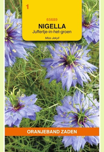 OBZ Nigella, Juffertje-in-het-groen Miss Jekyll - afbeelding 1