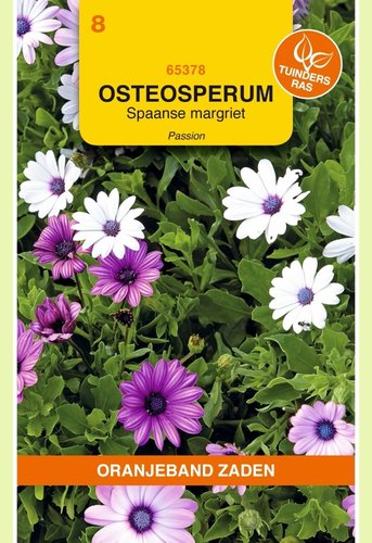 OBZ Osteospermum, Spaanse Margriet Passion gemengd - afbeelding 1