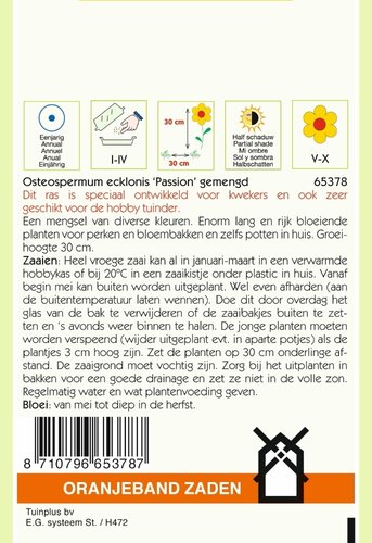 OBZ Osteospermum, Spaanse Margriet Passion gemengd - afbeelding 2