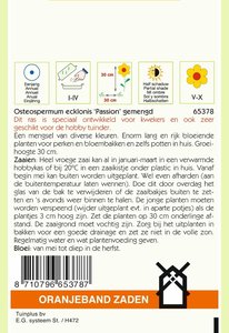 OBZ Osteospermum, Spaanse Margriet Passion gemengd - afbeelding 2