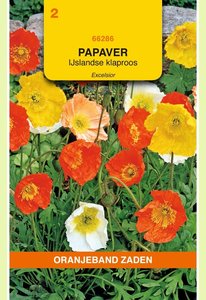 OBZ Papaver, IJslandse Klaproos gemengd - afbeelding 1