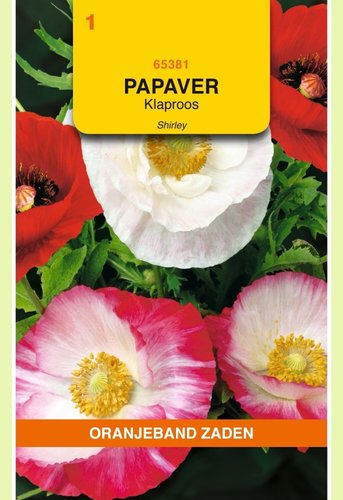 OBZ Papaver, Klaproos Shirley - afbeelding 1