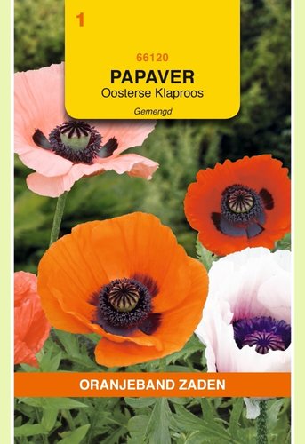 OBZ Papaver, Oosterse Klaproos gemengd - afbeelding 1