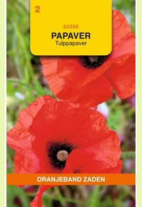 OBZ Papaver, Tulppapaver - afbeelding 1