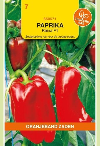 OBZ Paprika Solero F1 (vh Reina) - afbeelding 1