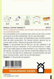 OBZ Patisson Custard White (vh Summer Satellite F1) - afbeelding 2