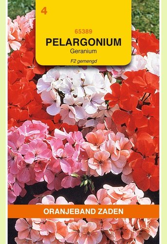 OBZ Pelargonium, Geranium F2 gemengd - afbeelding 1