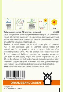 OBZ Pelargonium, Geranium F2 gemengd - afbeelding 2