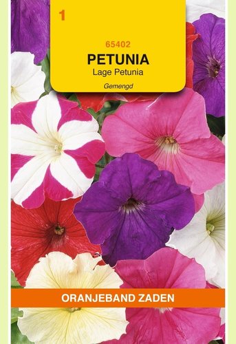 OBZ Petunia laag gemengd - afbeelding 1