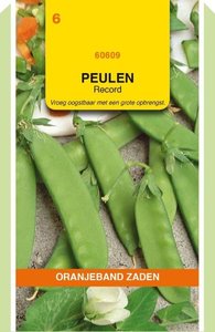 OBZ Peulen Record, 100g - afbeelding 1