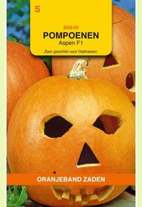 OBZ Pompoenen Aspen - afbeelding 1