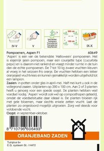 OBZ Pompoenen Aspen - afbeelding 2