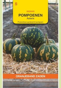 OBZ Pompoenen Asterix (Panterprint) - afbeelding 1