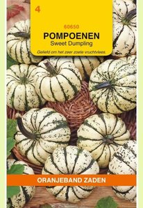 OBZ Pompoenen Sweet Dumpling - afbeelding 1