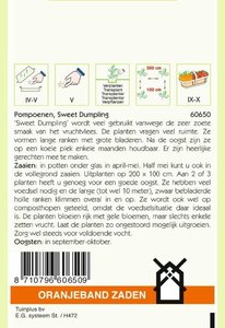 OBZ Pompoenen Sweet Dumpling - afbeelding 2