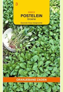 OBZ Postelein Groene - afbeelding 1