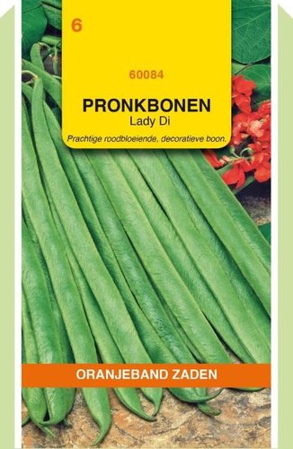 OBZ Pronkbonen Lady Di, 100g - afbeelding 1