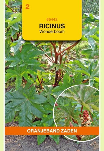 OBZ Ricinus, Wonderboom gemengd - afbeelding 1