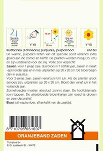 OBZ Rudbeckia, Zonnehoed Echinacea - afbeelding 2