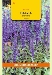 OBZ Salvia, Siersalie Victoria donkerblauw - afbeelding 1