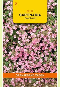 OBZ Saponaria, Zeepkruid, roze - afbeelding 1