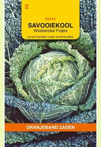 OBZ Savooiekool Donkergroene Putjes - afbeelding 1