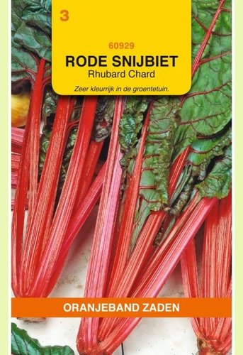 OBZ Snijbiet Rhubarb Chard - afbeelding 1