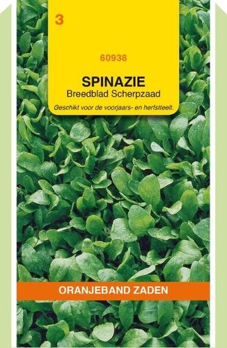 OBZ Spinazie Breedblad Scherpzaad, 50g - afbeelding 1