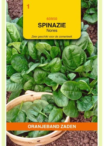 OBZ Spinazie Breedblad Zomer Scherpz., 250g