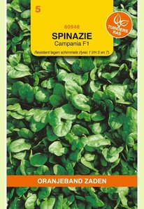 OBZ Spinazie Campania F1, 15g - afbeelding 1