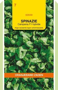 OBZ Spinazie Campania F1, 50g - afbeelding 1