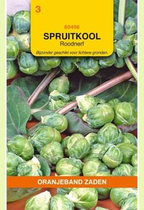 OBZ Spruitkool Roodnerf - afbeelding 1