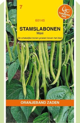OBZ Stamslabonen Maxi, 100g - afbeelding 1