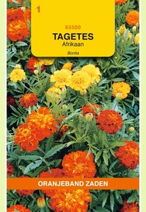 OBZ Tagetes, Afrikaan Bonita gemengd - afbeelding 1