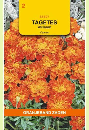 OBZ Tagetes, Afrikaan Carmen - afbeelding 1