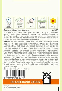 OBZ Tagetes, Afrikaan Carmen - afbeelding 2