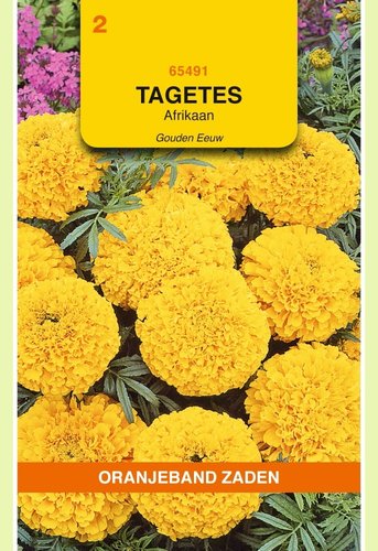 OBZ Tagetes, Afrikaan Gouden Eeuw - afbeelding 1