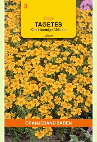 OBZ Tagetes, Afrikaan Lemon kleinbloemig, geel - afbeelding 1