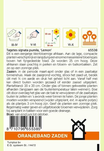 OBZ Tagetes, Afrikaan Lemon kleinbloemig, geel - afbeelding 2