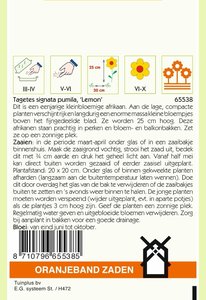 OBZ Tagetes, Afrikaan Lemon kleinbloemig, geel - afbeelding 2