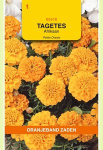 OBZ Tagetes, Afrikaan Petite Orange - afbeelding 1