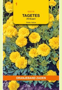 OBZ Tagetes, Afrikaan Petite Yellow - afbeelding 1