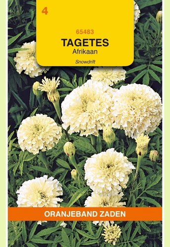 OBZ Tagetes, Afrikaan Snowdrift - afbeelding 1