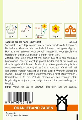 OBZ Tagetes, Afrikaan Snowdrift - afbeelding 2