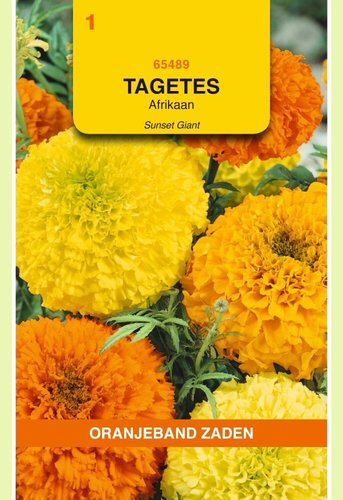 OBZ Tagetes, Afrikaan Sunset Giants gemengd - afbeelding 1