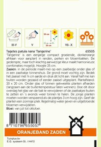 OBZ Tagetes, Afrikaan Tangerine - afbeelding 2