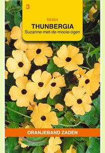 OBZ Thunbergia, Suzanne-met-de-mooie-ogen - afbeelding 1